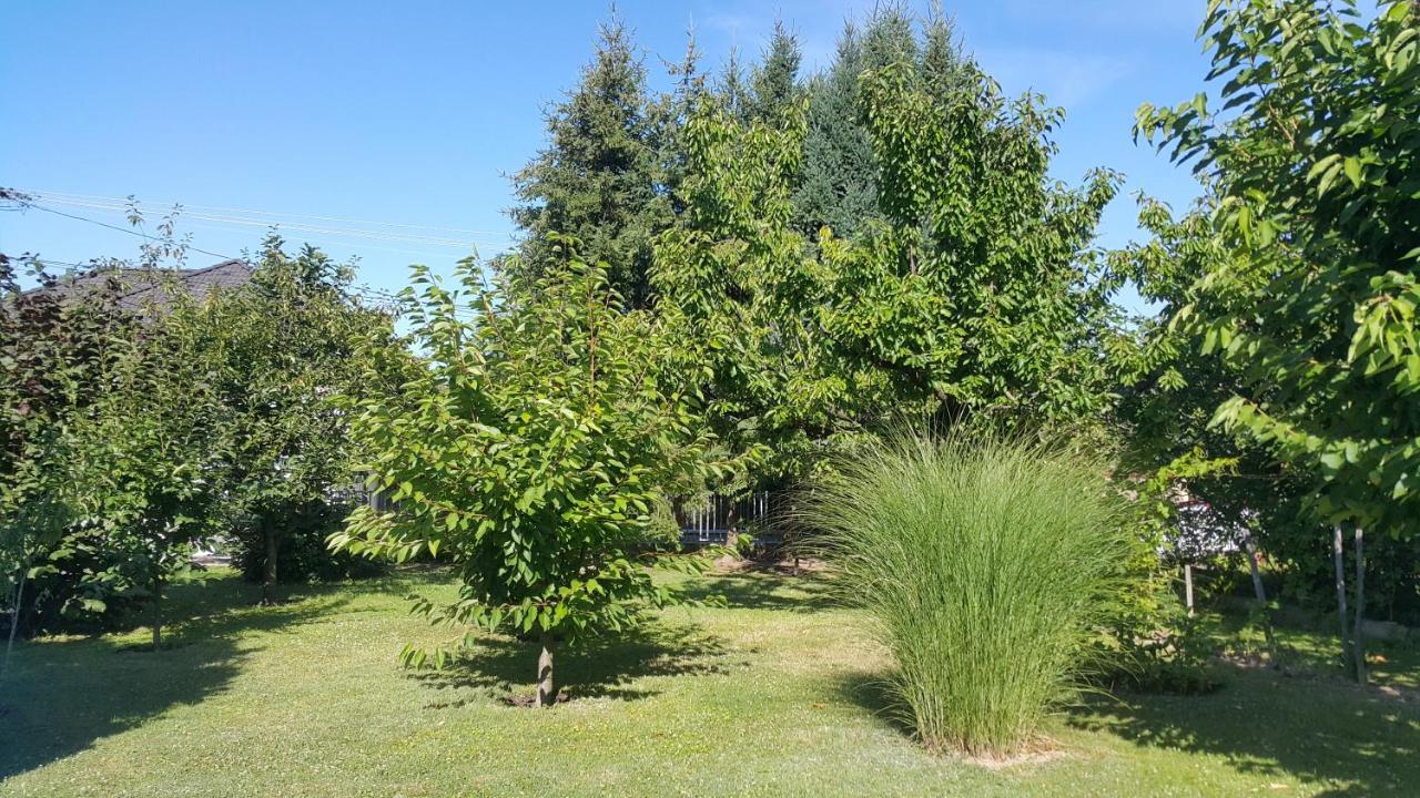 Marietta Apartman Heviz Exterior foto